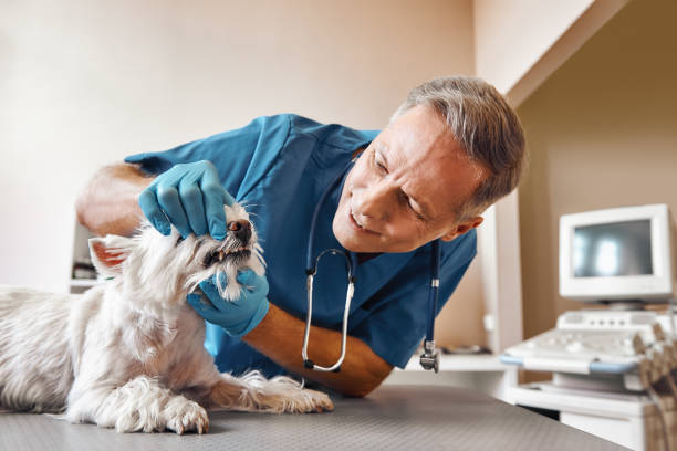 Best Emergency Dentist for Knocked-Out Tooth in Milltown, NJ